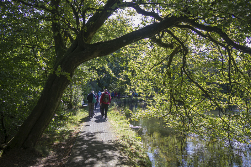 Photograph of Walking Route - Image 5