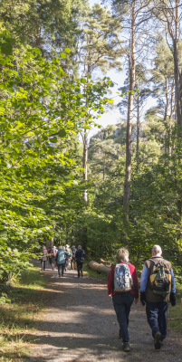 Photograph of Walking Route - Image 8
