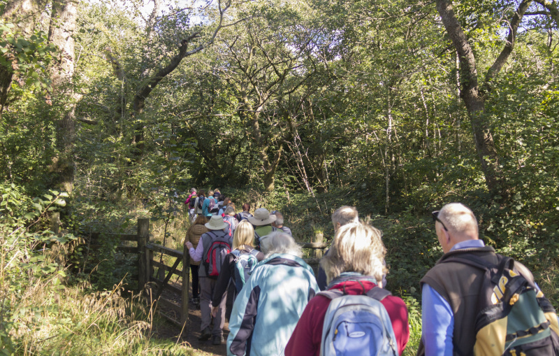 Photograph of Walking Route - Image 9