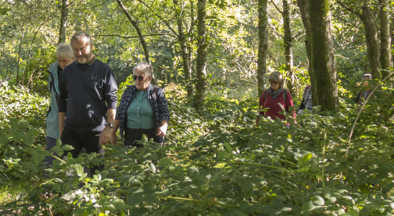Photograph of Walking Route - Image 11