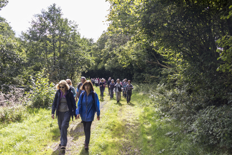 Photograph of Walking Route - Image 25