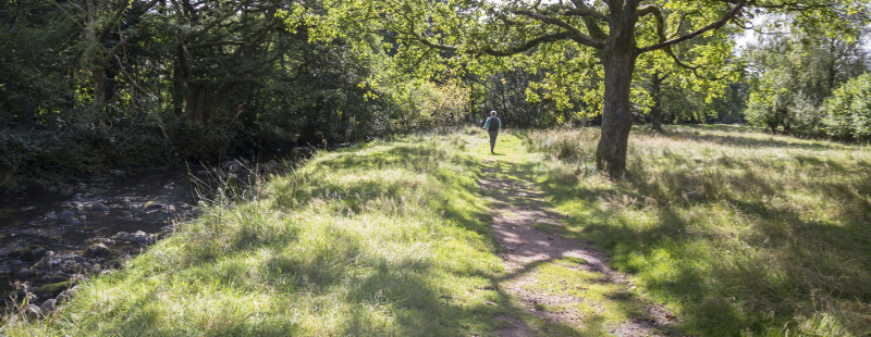 Photograph of Walking Route - Image 26