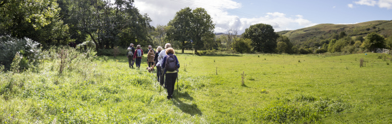 Photograph of Walking Route - Image 29