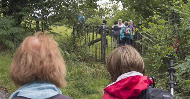 Photograph of Walking Route - Image 39
