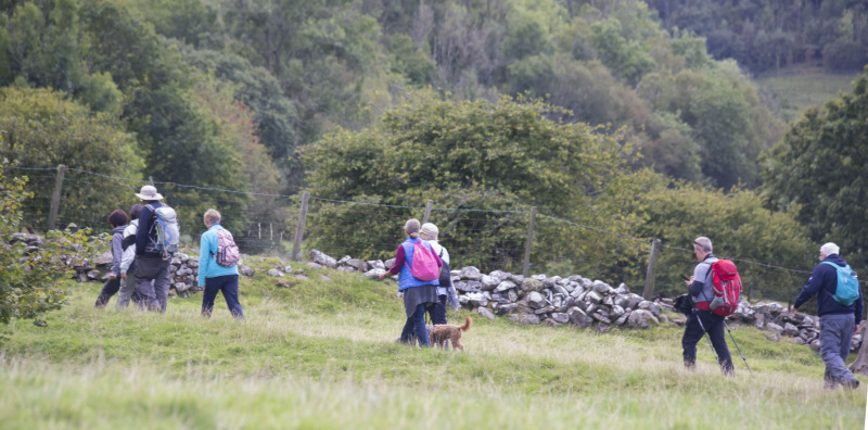 Photograph of Walking Route - Image 44