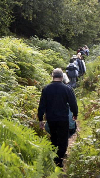 Photograph of Walking Route - Image 47