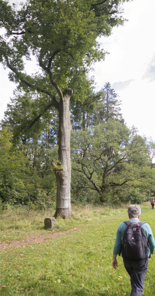 Photograph of Walking Route - Image 54