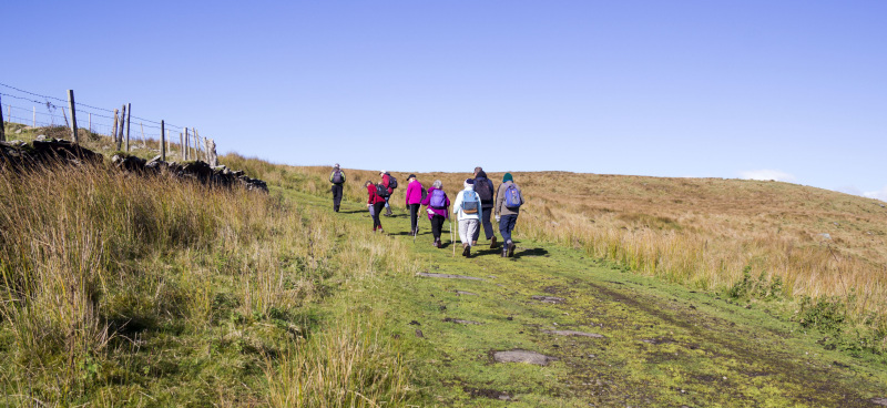 Photograph of Walking Route - Image 4