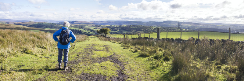Photograph of Walking Route - Image 5