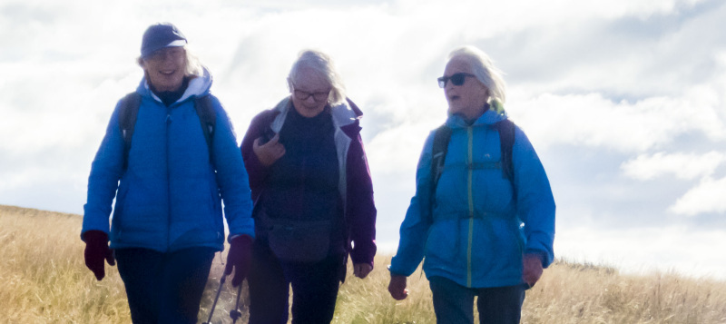 Photograph of Walking Route - Image 12