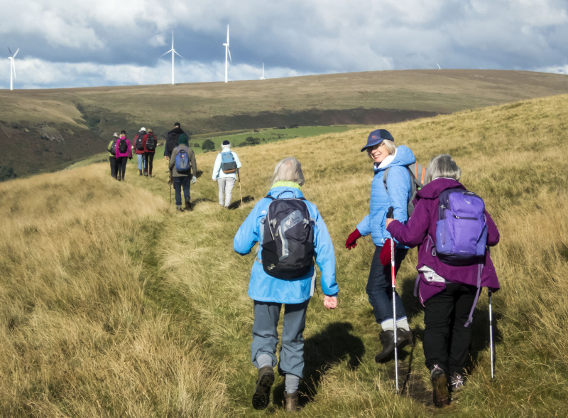 Photograph of Walking Route - Image 13