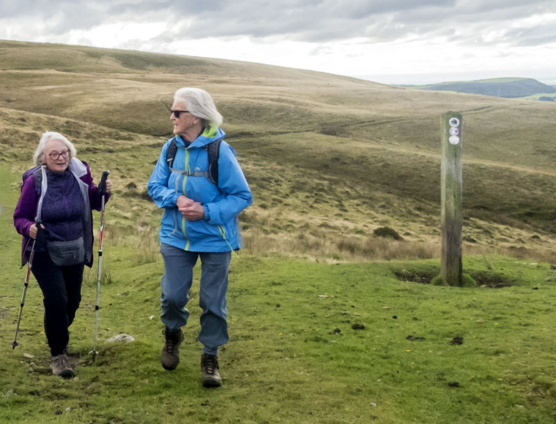 Photograph of Walking Route - Image 16