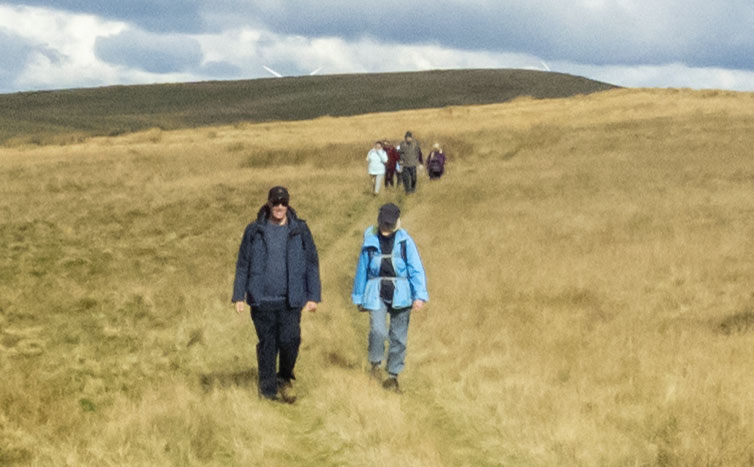 Photograph of Walking Route - Image 21