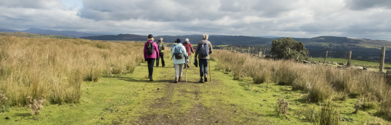 Photograph of Walking Route - Image 30