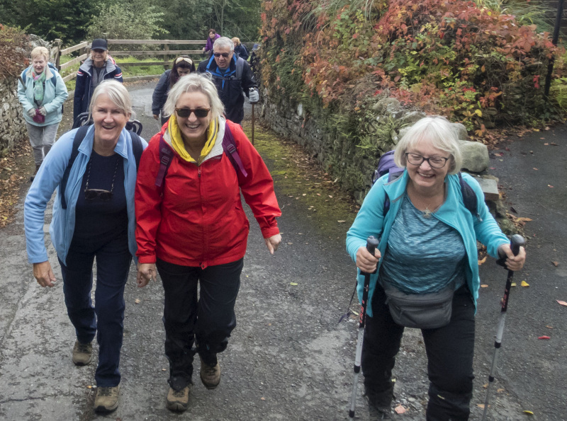 Photograph of Walking Route - Image 4
