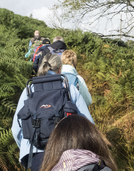 Photograph of Walking Route - Image 5