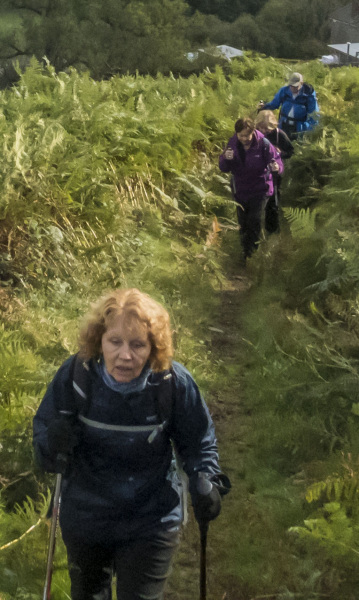 Photograph of Walking Route - Image 7