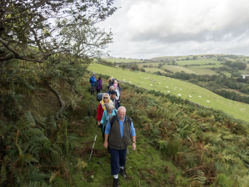 Photograph of Walking Route - Image 8