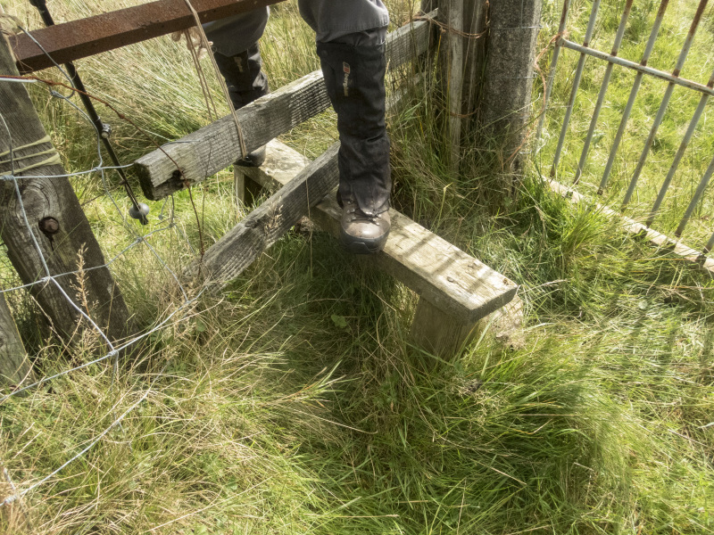 Photograph of Walking Route - Image 15