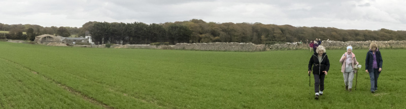 Photograph of Walking Route - Image 36