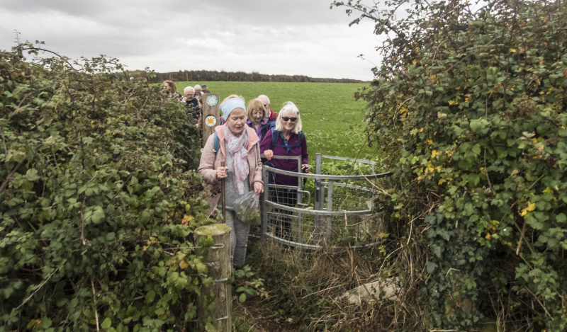 Photograph of Walking Route - Image 37