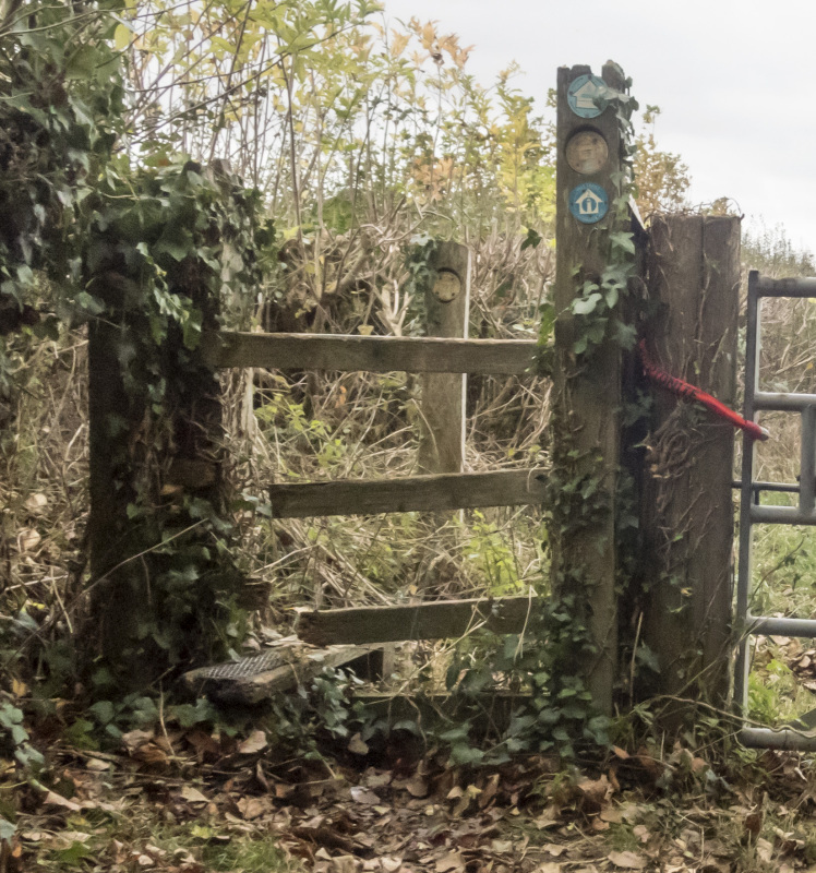 Photograph of Walking Route - Image 46