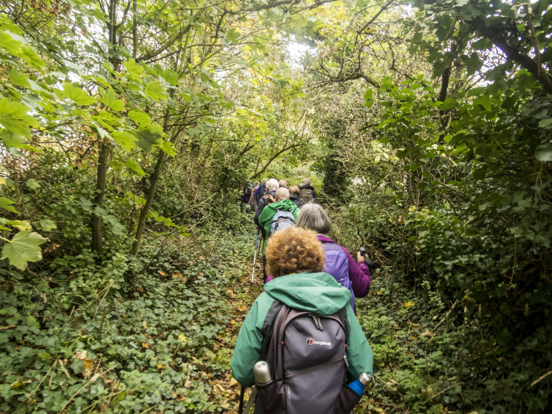 Photograph of Walking Route - Image 47