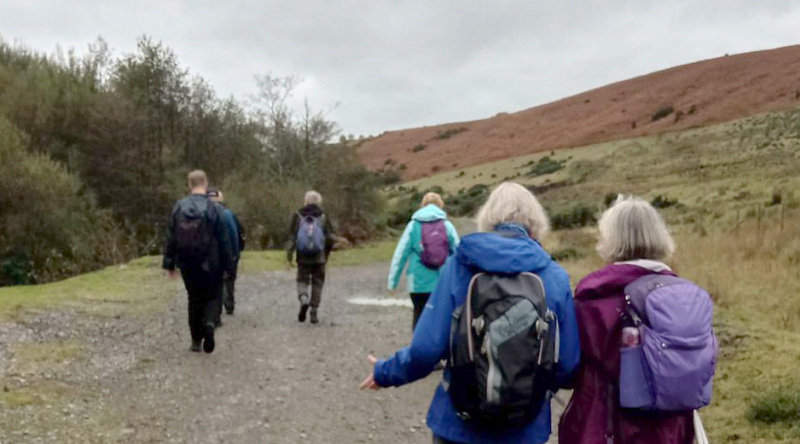 Photograph of Walking Route - Image 4