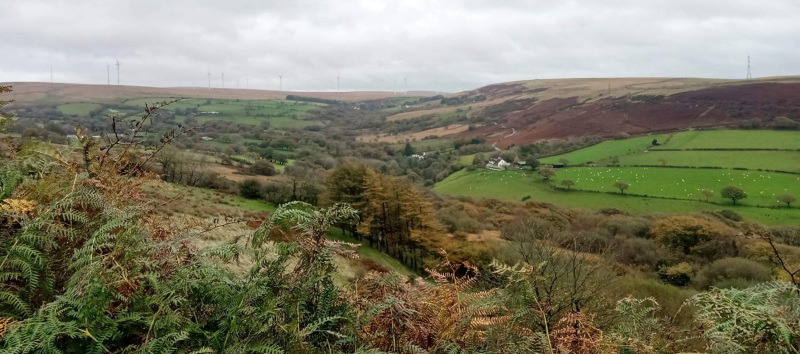 Photograph of Walking Route - Image 8