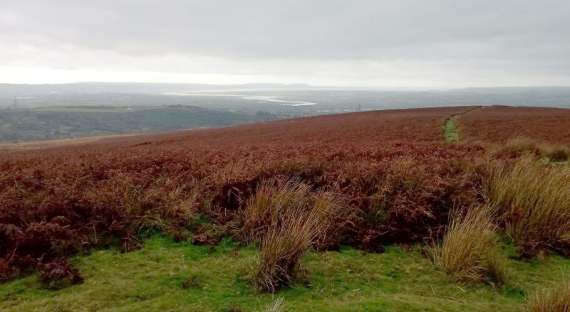 Photograph of Walking Route - Image 10