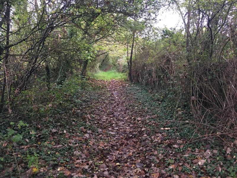 Photograph of Walking Route - Image 4