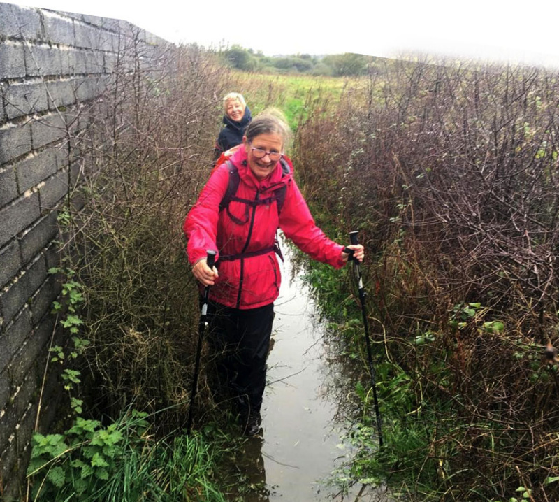 Photograph of Walking Route - Image 5