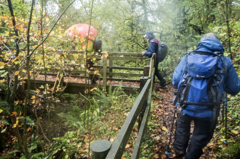 Photograph of Walking Route - Image 7