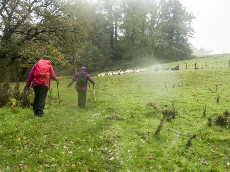 Photograph of Walking Route - Image 11