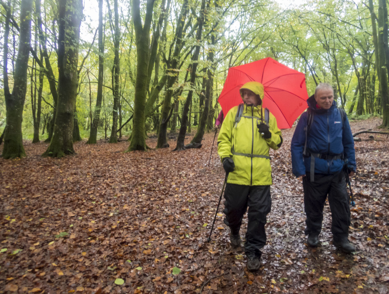 Photograph of Walking Route - Image 13