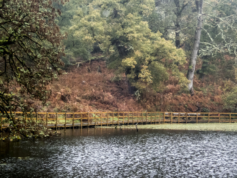 Photograph of Walking Route - Image 15