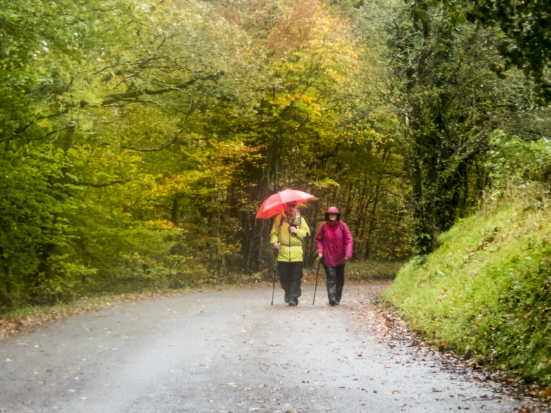Photograph of Walking Route - Image 22