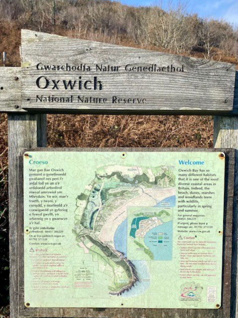 Photograph of Walking Route - Image 2