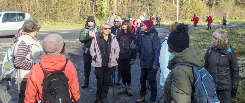 Photograph of Walking Route - Image 5