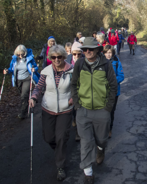 Photograph of Walking Route - Image 7