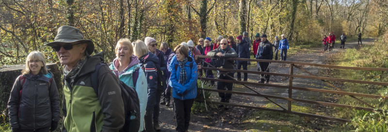 Photograph of Walking Route - Image 8