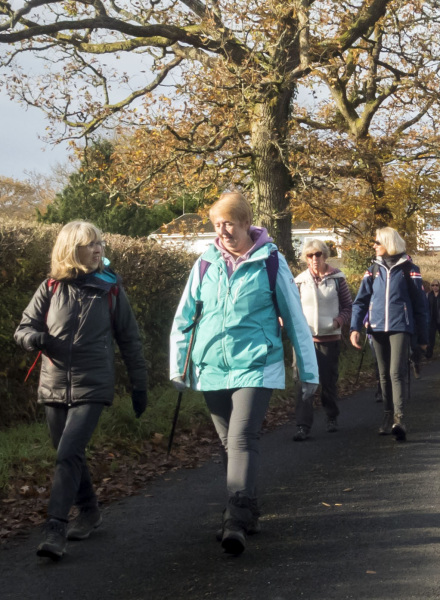 Photograph of Walking Route - Image 10