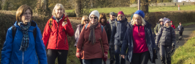 Photograph of Walking Route - Image 11