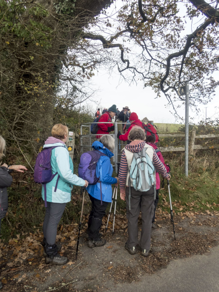 Photograph of Walking Route - Image 27