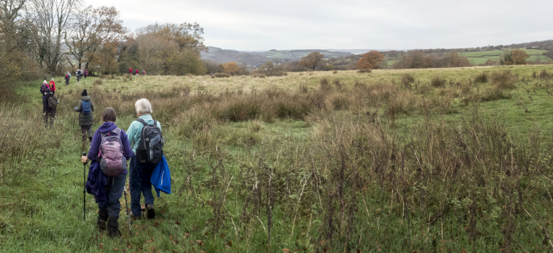 Photograph of Walking Route - Image 29