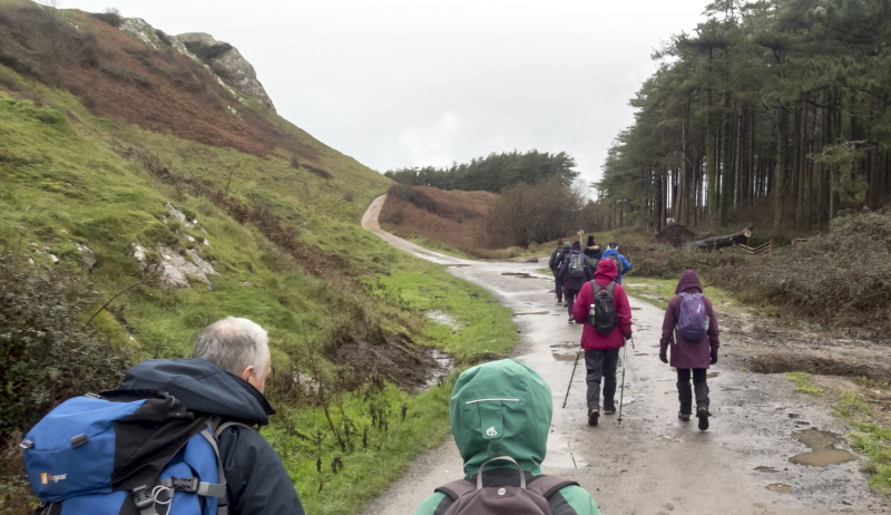 Photograph of Walking Route - Image 7