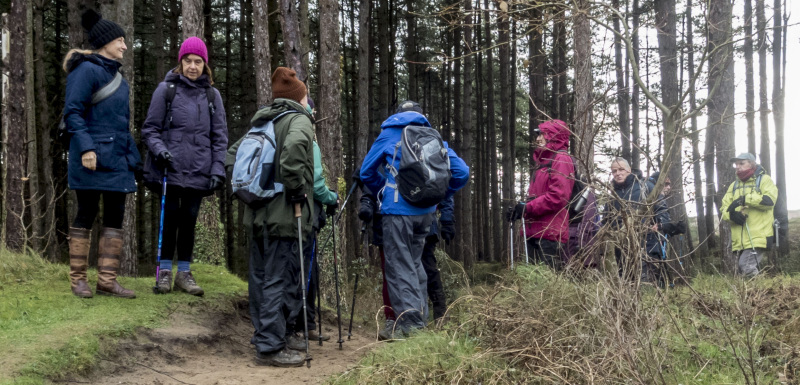 Photograph of Walking Route - Image 9