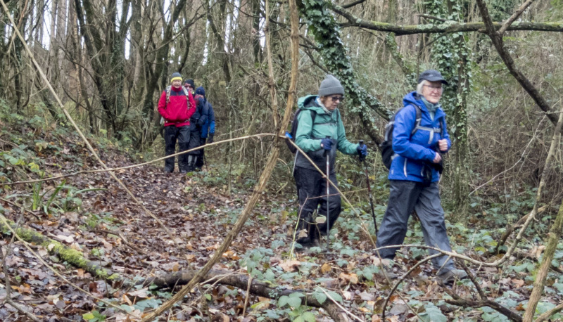 Photograph of Walking Route - Image 26