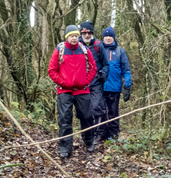 Photograph of Walking Route - Image 27