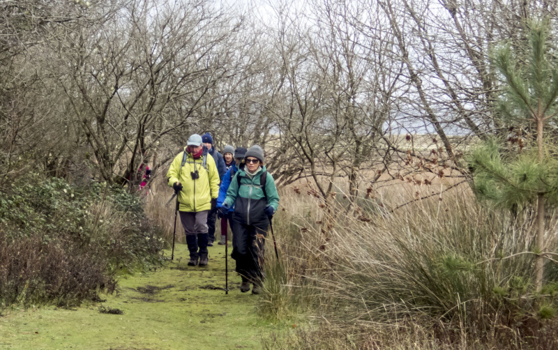 Photograph of Walking Route - Image 28